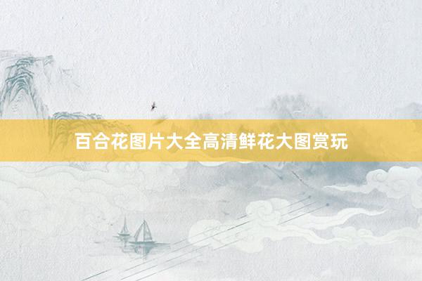 百合花图片大全高清鲜花大图赏玩