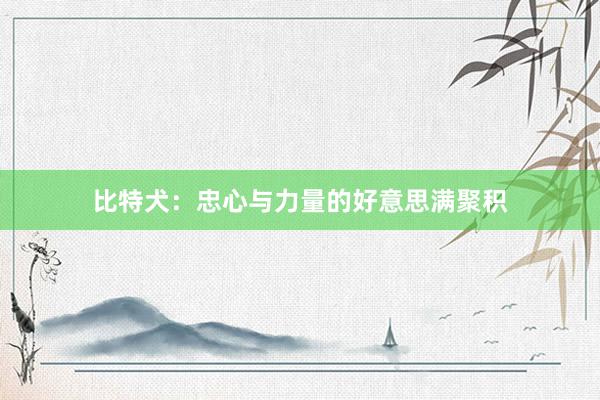 比特犬：忠心与力量的好意思满聚积