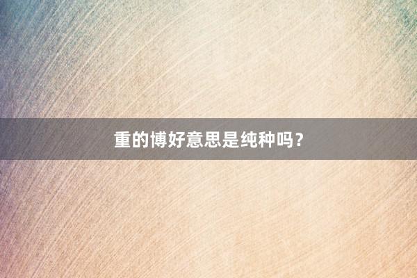 重的博好意思是纯种吗？